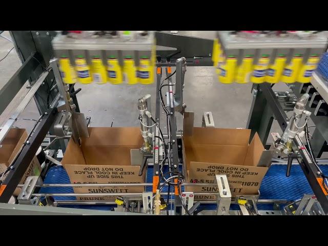 TL 20 Top Load Case Packer, Cans and Jars of Prune Products - BW Integrated Systems