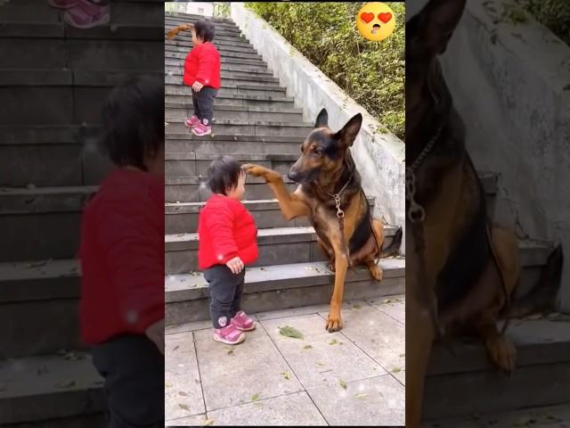 The Cutest Babysitter Ever! #baby #dog