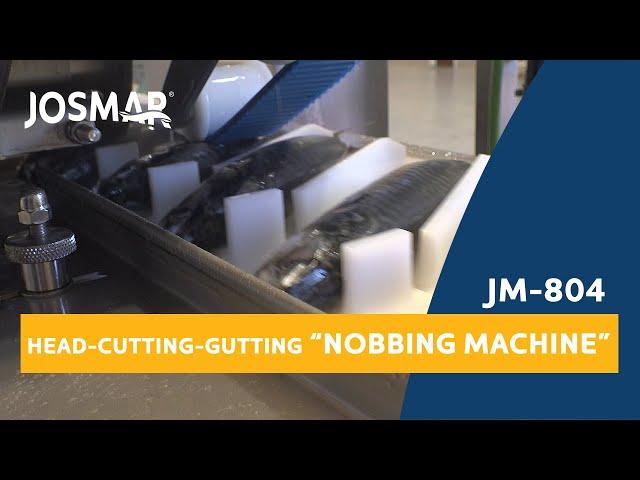 JM-804 Head Cutting & Gutting Machine (nobbing machine) | Descabezadora-Evisceradora de pescado