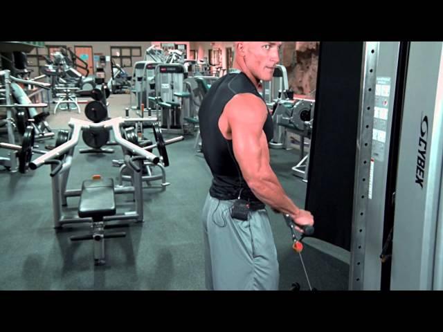 Reverse Cable Curl