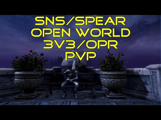 New World: Aeternum - PvP Open World/3v3/OPR