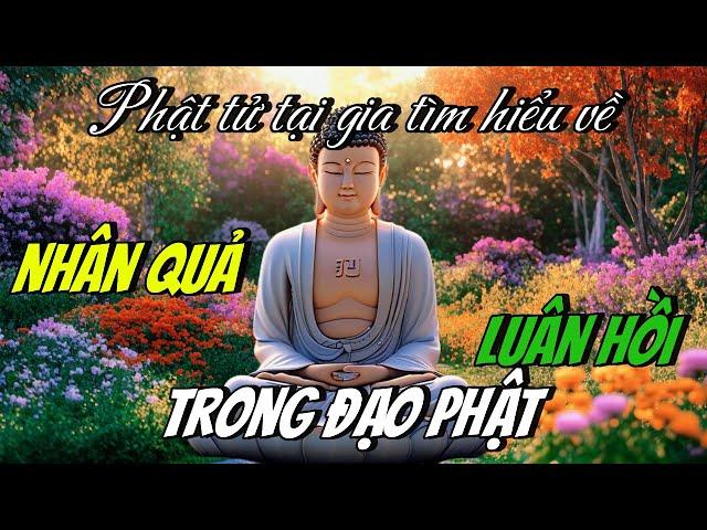 Lời Phật Dạy Về Luật NHÂN QUẢ - LUÂN HỒI | Vi Pháp Diệu Âm