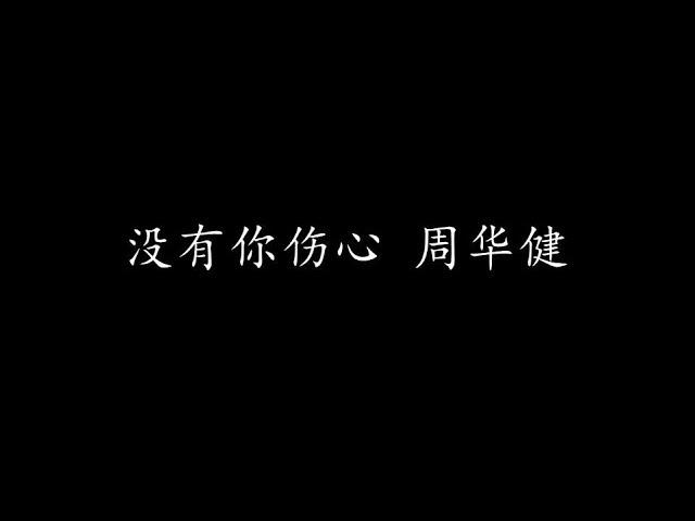 没有你伤心 周华健 (歌词版)