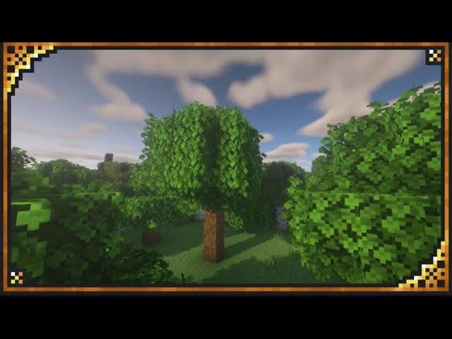 Minecraft xalis Bushy Leaves I am sure you will be like it