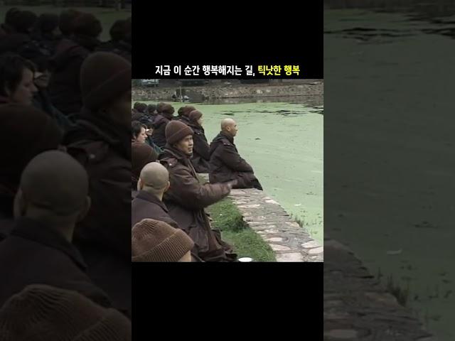 지금 이 순간 행복해지는 비밀을 알려드려요, 틱낫한의 행복 #틱낫한 #횅복 #불교 #불교공부 #명상