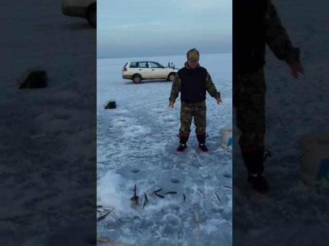 Рыбалка в Амурском заливе 7.01.2018