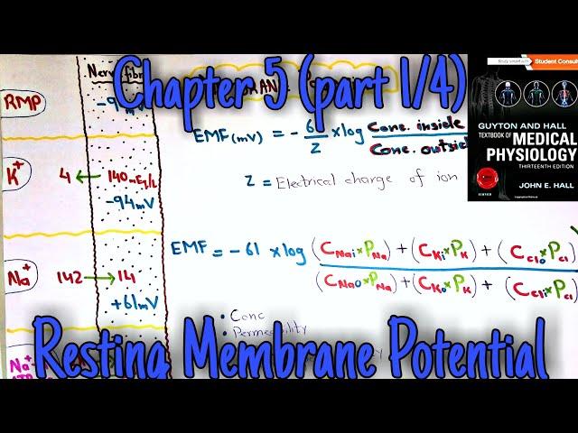 Resting membrane potential - chapter 5 (part 1/4) - Guyton and hall text book of medical physiology.