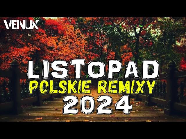  POLSKIE HITY 2024  NAJLEPSZE POLSKIE NUTKI W REMIXACH VOL.11️MEGAMIX  LISTOPAD 2024  VENUX 
