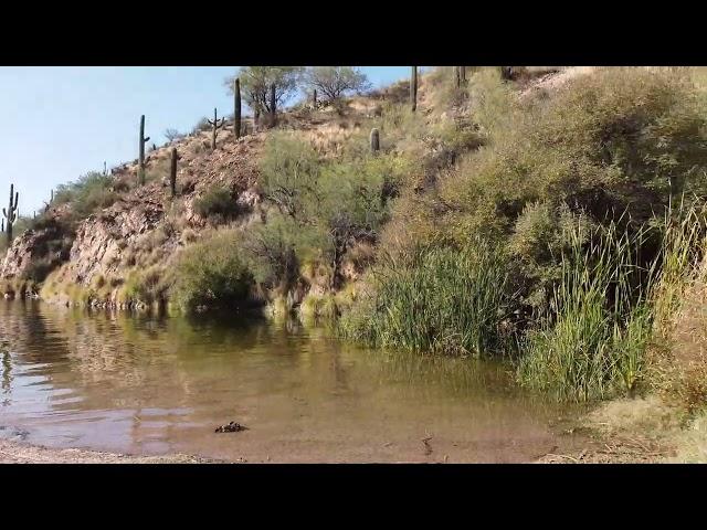 Butcher Jones Recreational area Saguaro Lake