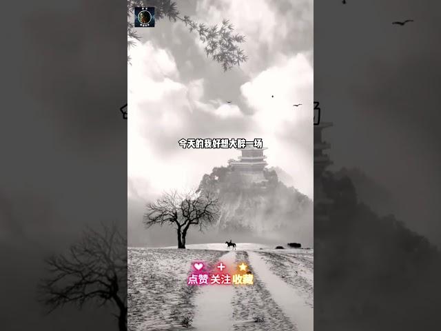 臭宝情感语录 - 情感语录文案​ #恋爱脑语录​ #情感文章 #深情语录