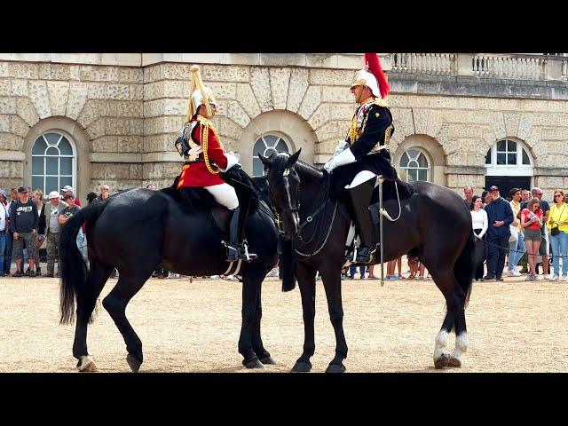 The King's Life Guard & Blues and Royals await the change of Guards.