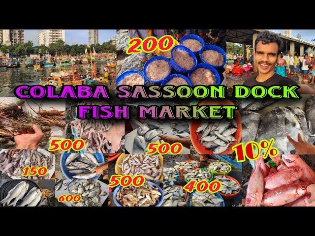 Colaba Sassoon Dock Fish Market | Wholesale Fish Market In Mumbai | Colaba Fish Market Mumbai