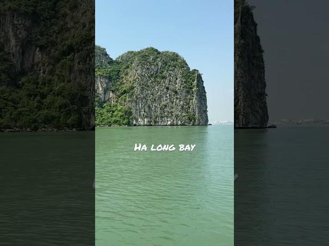 #vietnam #вьетнам #travel