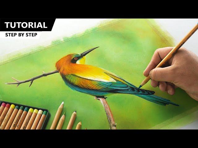 Drawing Colorful Bird using Pastel Color Pencil