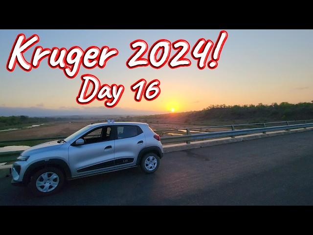 Day 16 – Kruger National Park! S1 – Ep 556