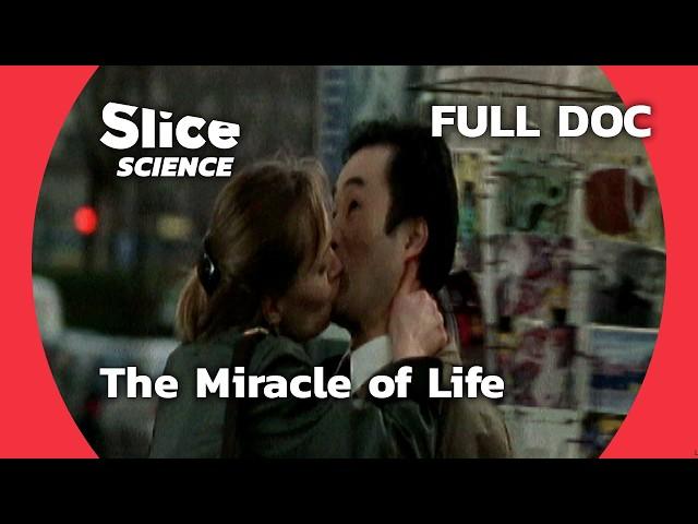 How Life Begins: The Miracle Unveiled | SLICE SCIENCE | FULL DOC