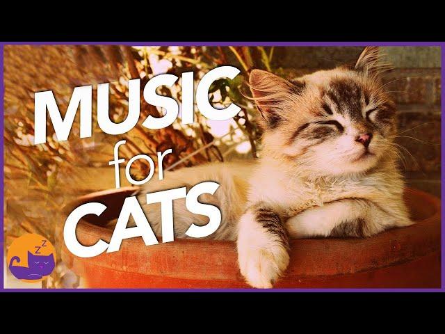 Magic Music for Cats - UNBELIEVABLE Results (Tested 2022)