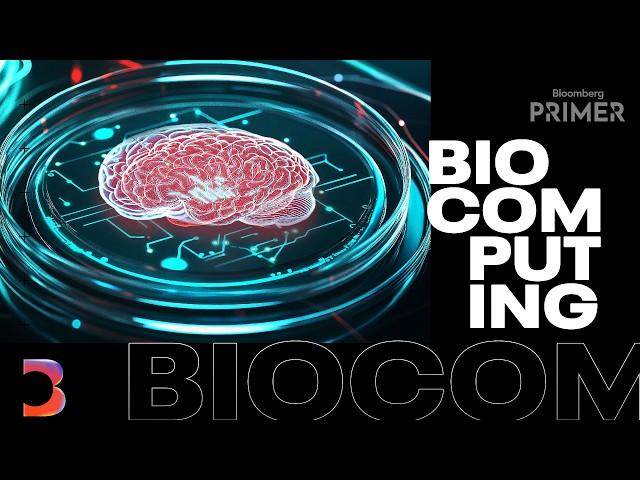 Here’s How Biocomputing Works And Matters For AI | Bloomberg Primer