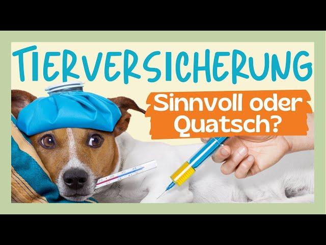 ️ KRANKHEIT KANN JEDEN HUND TREFFEN - SO IST DEIN HUND MIT UND OHNE VERSICHERUNG GUT VERSORGT 