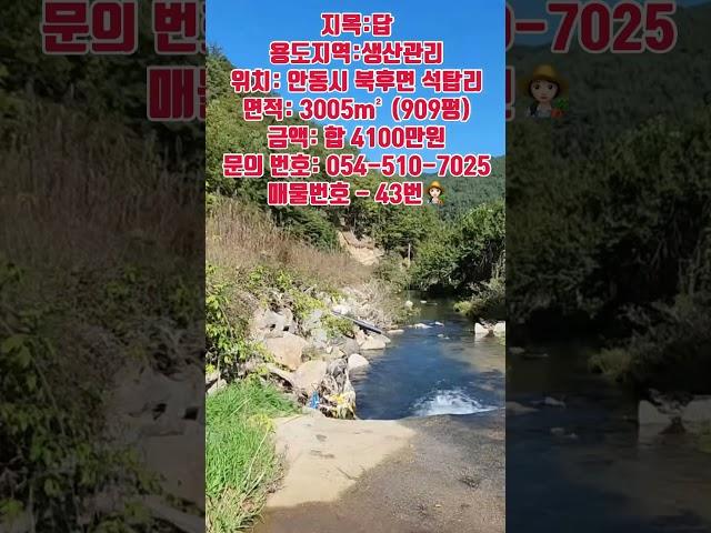 시원한 계곡가 땅 가격 900만원 인하 #안동땅 #안동부동산 #경북땅 #경북땅매매 #경북부동산 #경북토지 #의성땅 #의성부동산 #의성땅매매