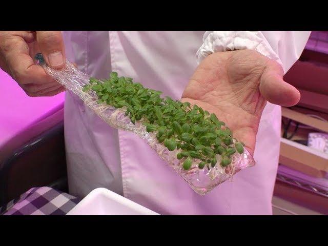 Innovative Soil-less Farming Technology