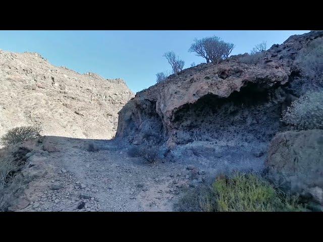 BARRANCO DE TAURITO - MOGÁN - GRAN CANARIA    25-02-2022