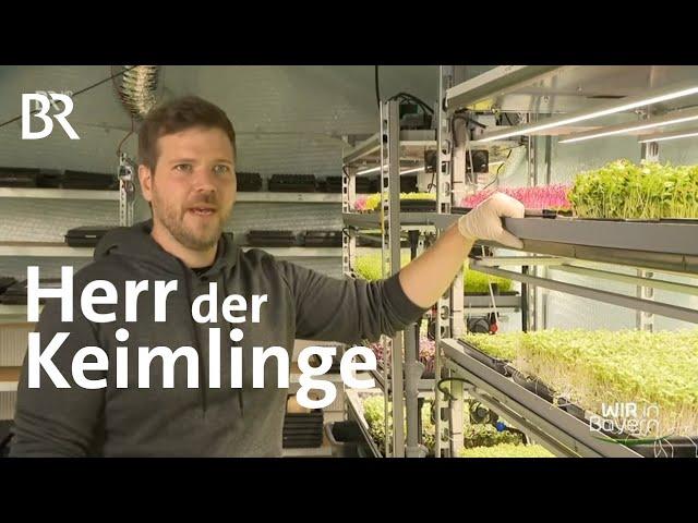 Miniaturgemüse: "Microgreens" aus Oberfranken | Wir in Bayern | BR