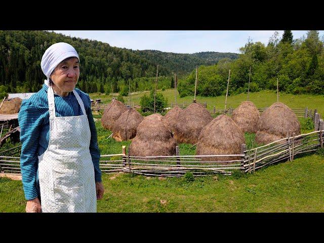 Amazing Life In Shoria Mountains. Russia Village Life