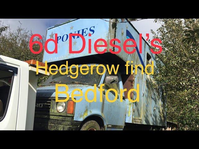 Hedge/barn find!!! Now this is a will it start video… reviving an abandoned Bedford CF2 van