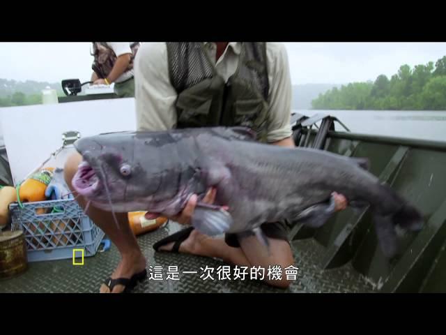 國家地理頻道 尋找超級大魚 全新第四季 Monster Fish 4