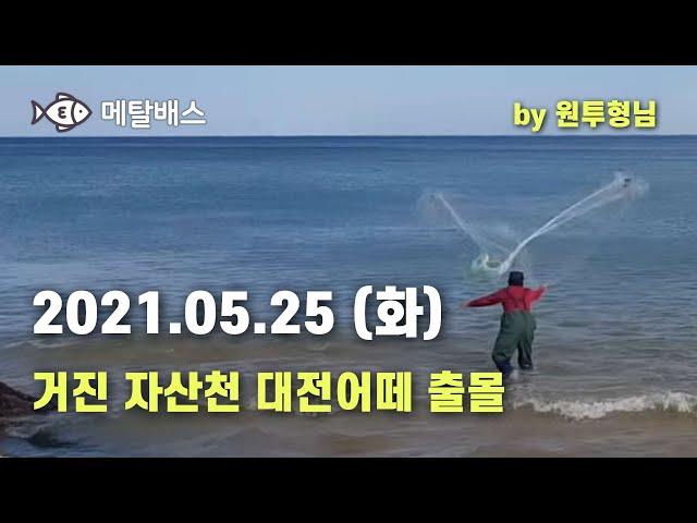 #원투형님실시간현황#거진해변자산천기수역#SBS생활의달인바다투망달인,한국최고수투망사,대전어떼출몰순간캐스팅,최경철어신달인,메탈배스바다투망낚시인,cast nets, play pesca