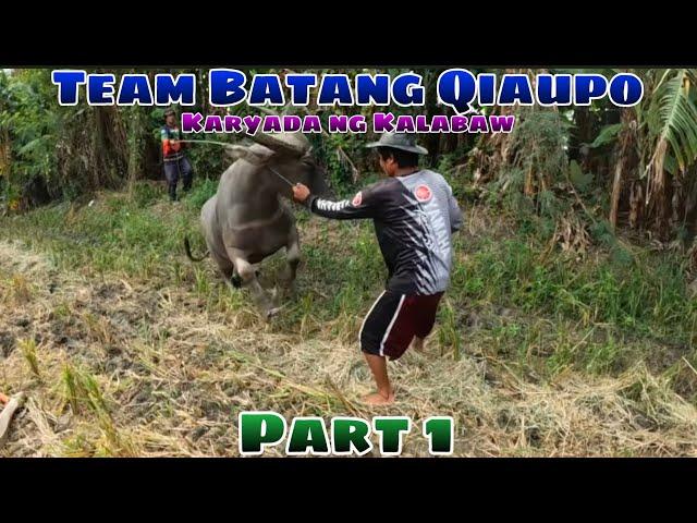 Team Batang Qiaupo ng bulakid karyada ng Kalabaw Part 1