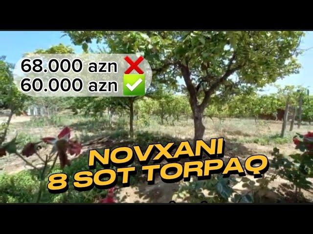 Novxanıda əla 8 sot torpaq sahəsi - 8.000 manat endirim edildi 