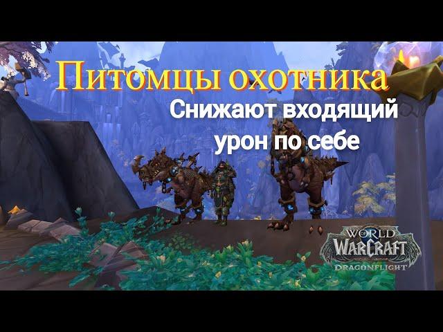 Топ Питомцы охотника (Снижение урона по себе) #worldofwarcraft #dragonflight #wow #games #gameplay