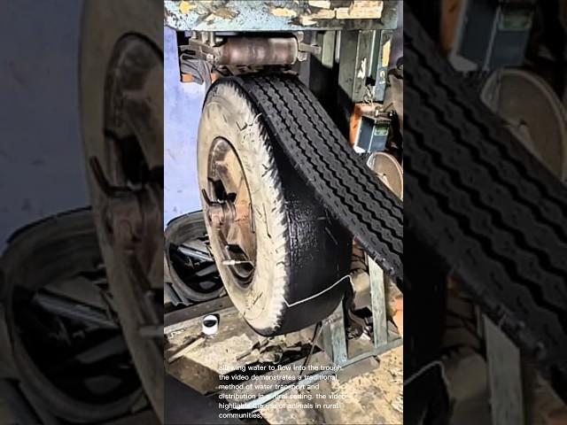 Tire retreading process: machine peeling off old tread from tire carcass for reapplication - tire