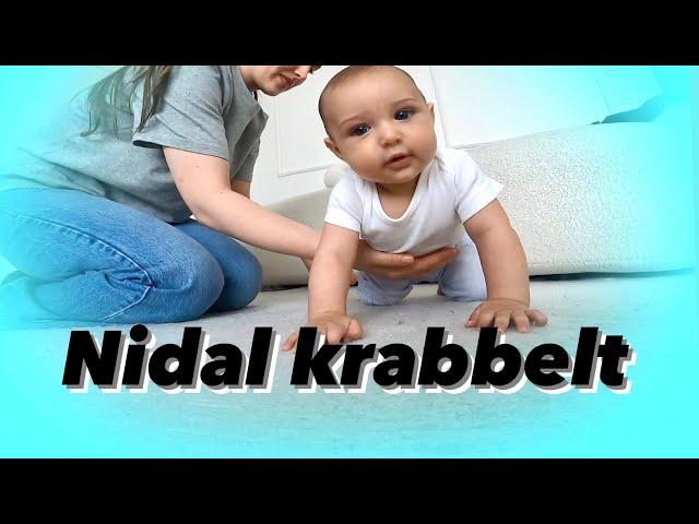 NIDAL ÜBT KRABBELN | LOUISA NADER