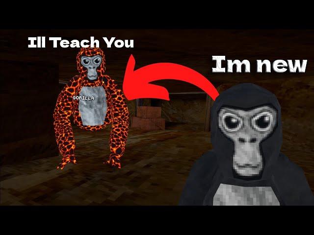 Trolling As A New Player Then Going PRO! (Gorilla Tag)