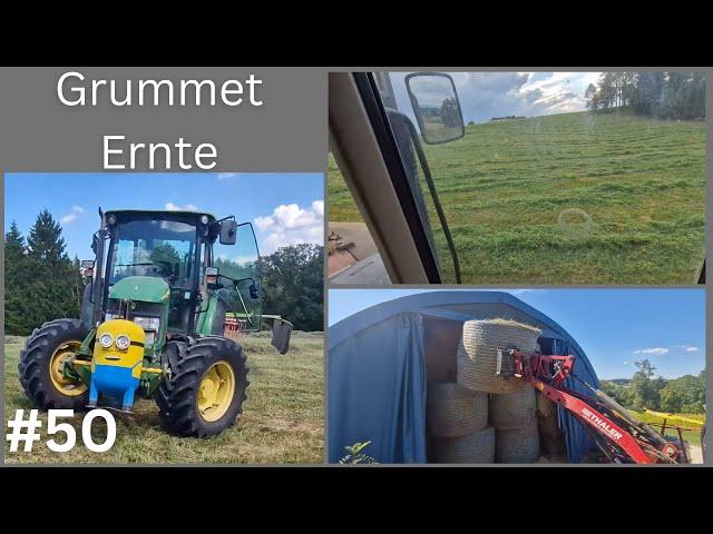 2. Schnitt Heu von Anfang bis Ende | Vlog #50