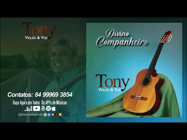 Tony Vioão E Voz - Divino Companheiro - #ÁlbumCompleto