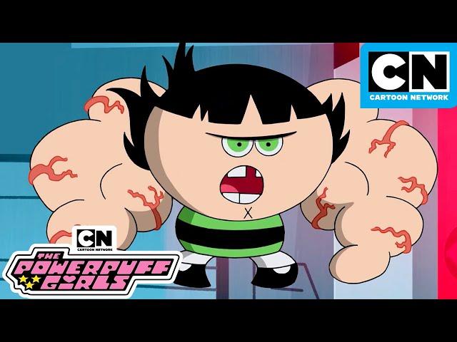 Super Buff Powerpuff | New Powerpuff Girls | Season 3 | Cartoon Network