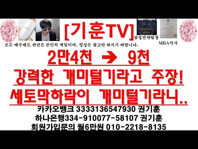 [주식투자]HLB(2만4천 →9천 강력한 개미털기라고 주장!세토막하락이 개미털기라니..)