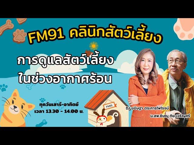 การดูแลสัตว์เลี้ยงในช่วงอากาศร้อน : FM91 คลินิกสัตว์เลี้ยง : 9 มีนาคม 2568