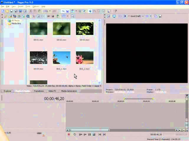 Sony Vegas   29  Регионы