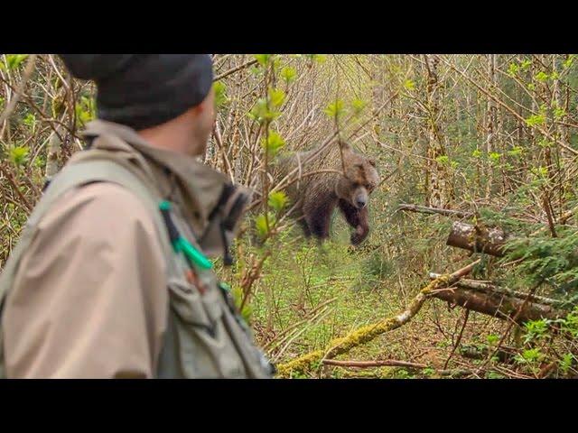 Fishermen Run Into Grizzly Bear and Sight Fish for Steelhead | Captain Quinn