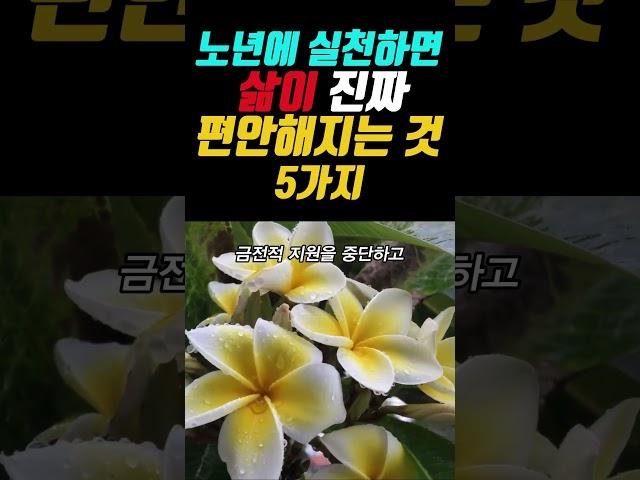 노년에 실천하면 삶이 진짜 편안해지는 것 5가지 #명언 #좋은글 #오디오북 #지혜 #인생조언 #인생명언