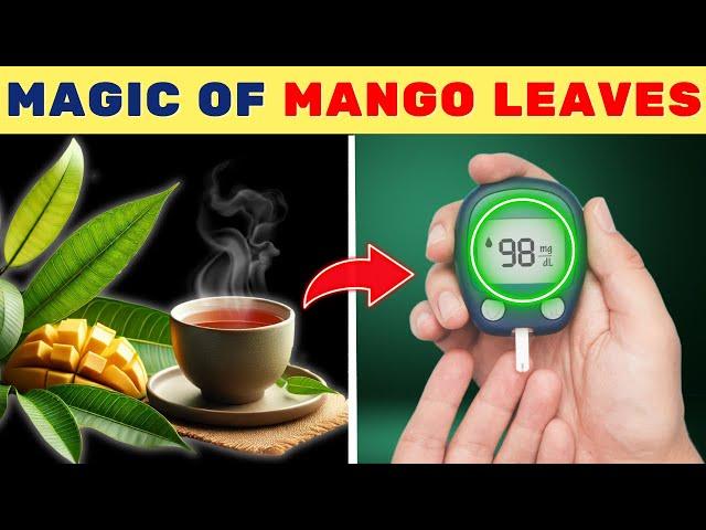 9 Incredible Benefits of Mango Leaves You Wish You Knew Sooner