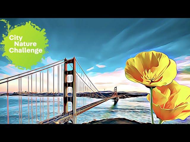 City Nature Challenge 2020 | California Academy of Sciences