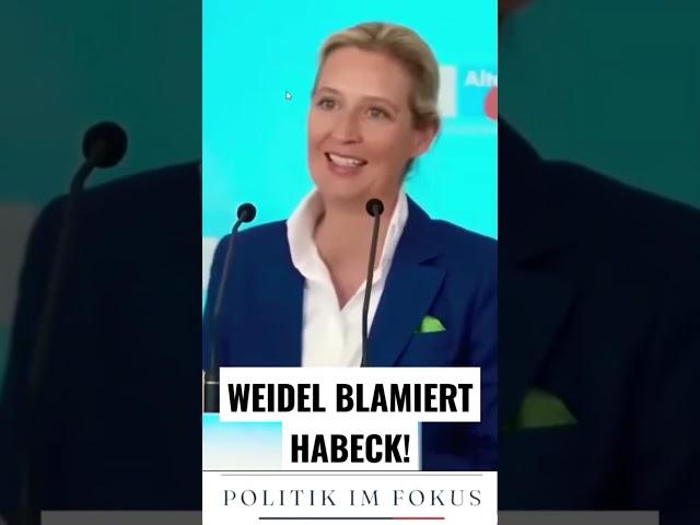  Skandal in der Bundesregierung! Alice Weidel und Tino Chrupalla entlarven Vetternwirtschaft! 