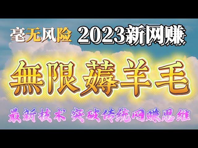 2023网赚项目|最新网络赚钱|灰色黑色项目|黑产 毫无风险|五分钟薅羊毛赚到102$（可以无限循环操作）