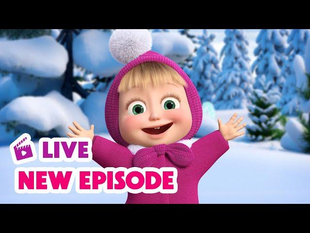  LIVE STREAM  Masha and the Bear  New Episode 